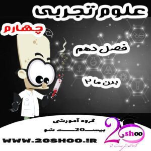 سوالات فصل دهم علوم چهارم