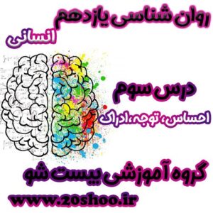 سوالات فصل سوم روانشناسی یازدهم انسانی